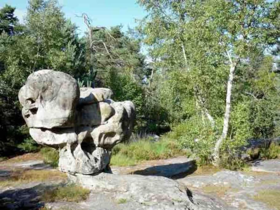La Pause Allongee - Fontainebleau Hypercentre المظهر الخارجي الصورة